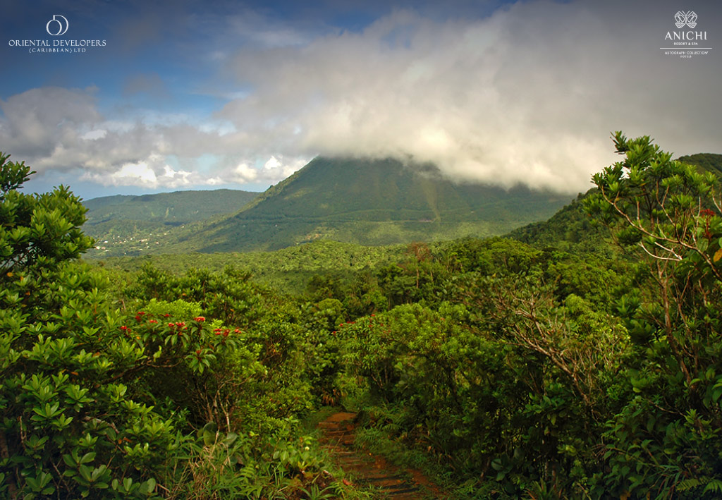 Volcano of Morne Micotrin in Dominica.